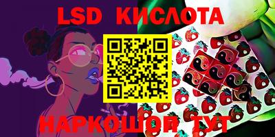 шишки Кинель