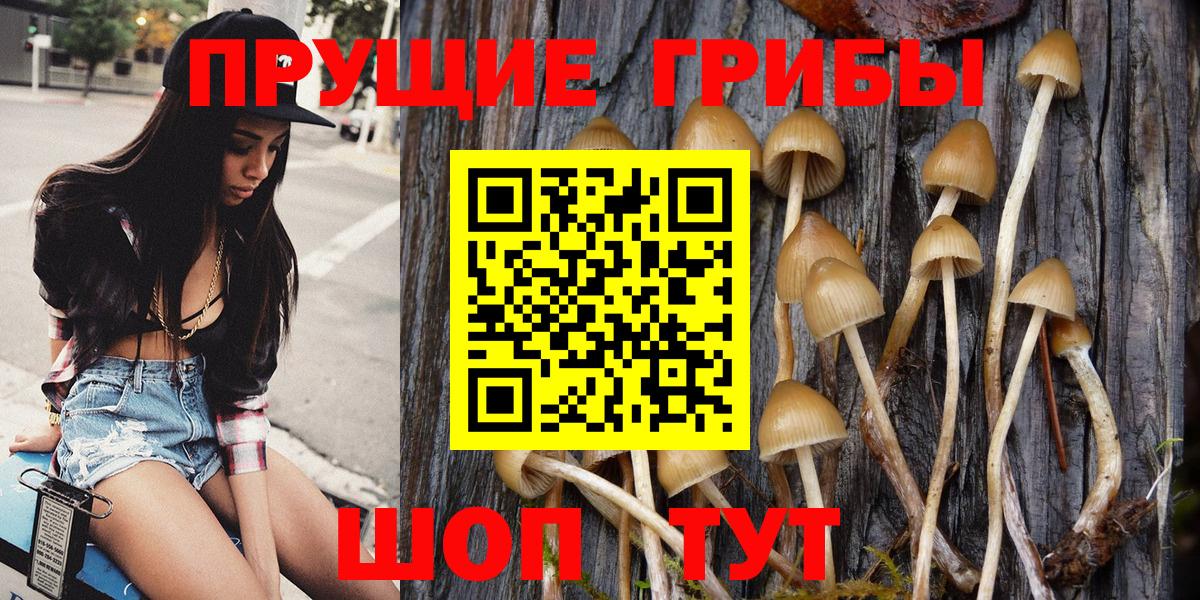 Псилоцибиновые грибы Magic Shrooms  Вход с VPN  Краснознаменск  наркошоп  Галлюциногенные грибы ЛСД 