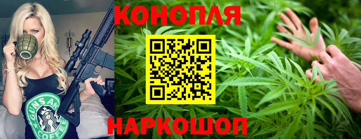 Бошки Шишки сатива Краснознаменск